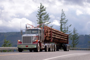 Logging Truck Accidents