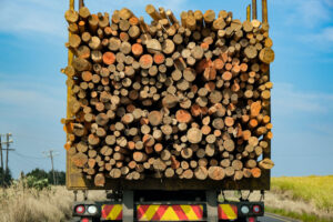 logging truck with full load